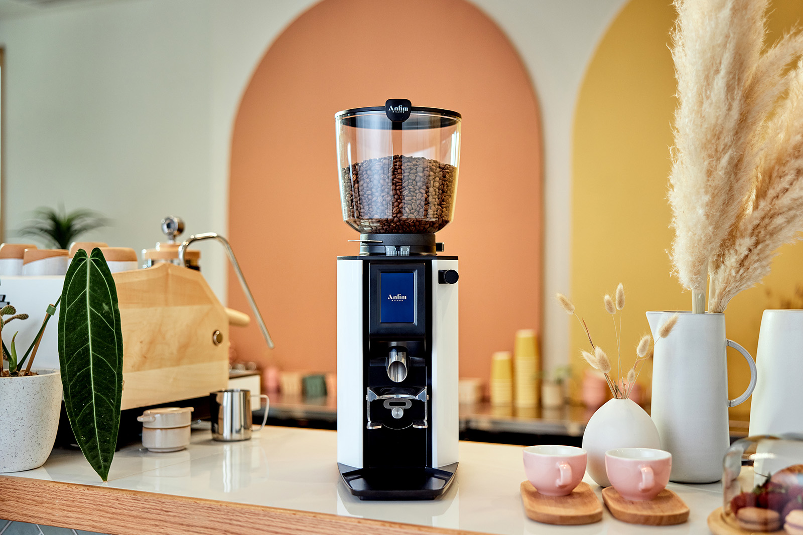 Anfim coffee grinder